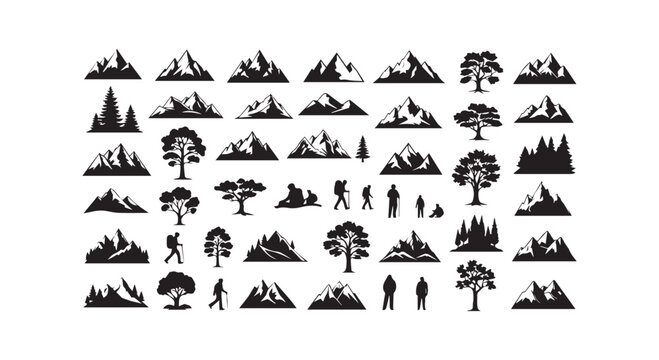 A collection of chess pieces arranged in two parallel rows displaying different designs and styles