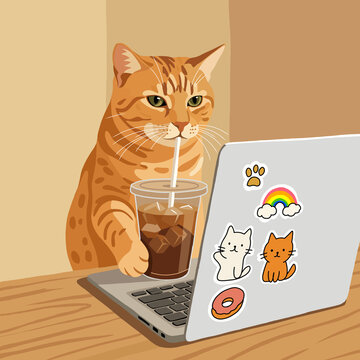 cat and laptop