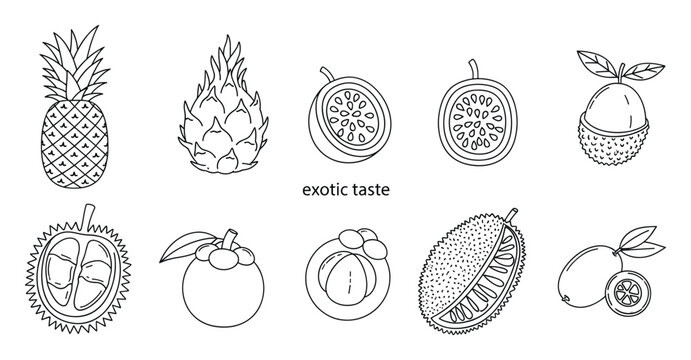 Set of exotic tropical fruits in a simple black outline line drawing style, perfect for healthy eating concepts, vibrant dietary promotions, organic food branding, and juice packaging.