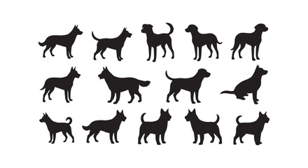 Fototapeta premium A detailed illustration of various horse breeds showcasing diversity in coat patterns and body shapes