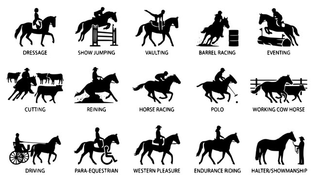 Various equestrian sports and activities illustration set for designers