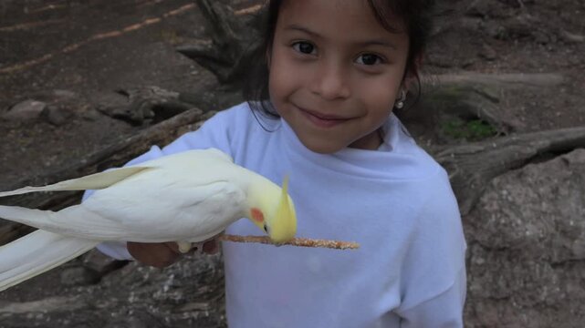 Latina girl feeding a cockatiel with birdseed.