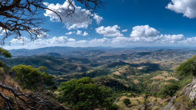 Panoramic view of rolling hills and ancient trees in the highlands of Oaxaca, Ethiopia. Illustration of a hillside background in Ethiopia.