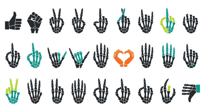 Set of human skeleton hands in various positions and gestures, providing a unique and edgy design element for halloween or other spooky-themed projects. Each hand is detailed.