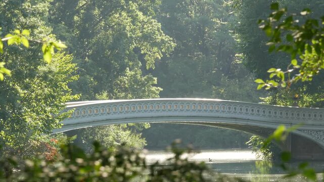 New York City Central Park nature oasis. Bow Bridge and lake in summer day, United States. Pond water and greenery in morning light. Autumn fall leaves and Manhattan architecture landmark of NYC, USA.