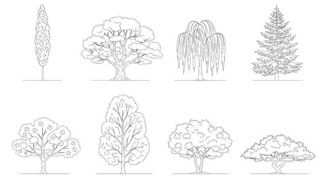 Outline illustrations of various types of trees for design