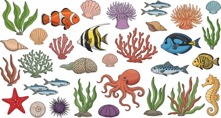 Colorful Ocean Creatures on White Background © ishfaquehussain