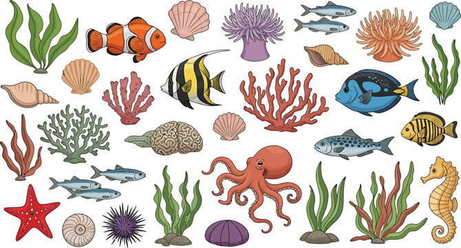 Colorful Ocean Creatures on White Background