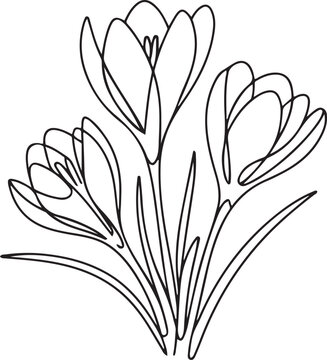 Single continuous line drawing beauty fresh croci for home wall art decor poster print. one line art icon drawing vector