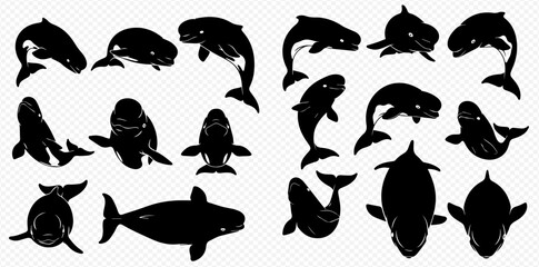 Set of black silhouettes of pilot whales and killer whales on a transparent background, vector illustration. © Akun