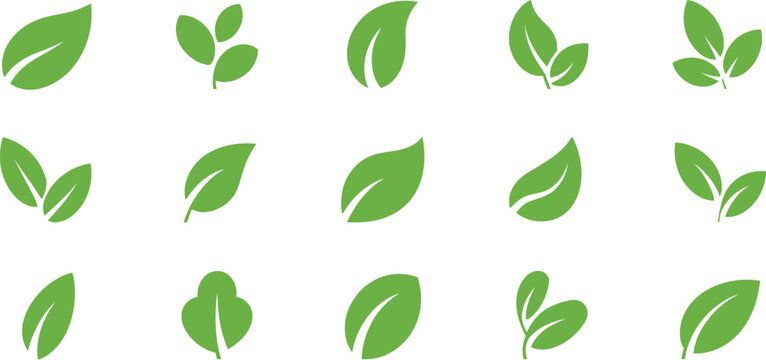 Green leaf icons on isolated background representing natural eco vegan bio labels vector illustration elements for sustainable design