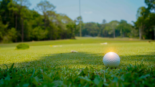 Golf ball is on a green lawn in a beautiful golf course with morning sunshine.