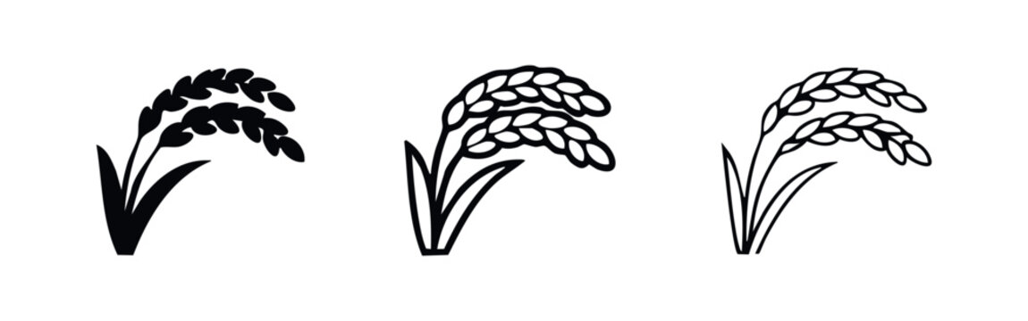 Rice Stalk Icons Set. Agricultural Crop, Cereal Grain, Harvest Symbol Vector Illustration.