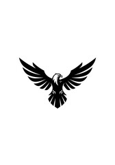 Obraz premium Apex of Shadow Wings