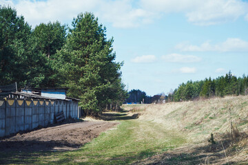 droga,drzewo © Marcin Łazarczyk