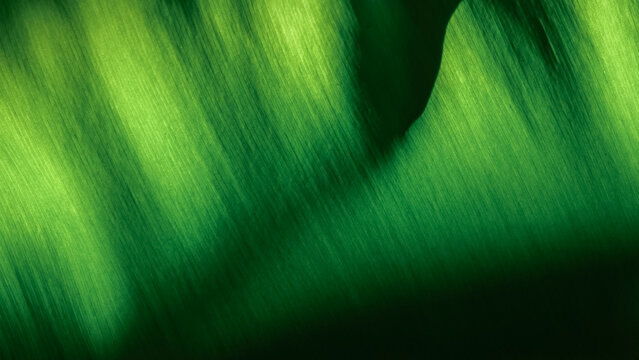 Blurred background image of green leaves with gradient colors and shadows; natural leaf background blur effect.