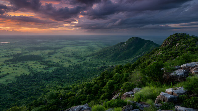 A view of Niokolo Koba National Park in Senegal. A background illustration of a view in Senegal.