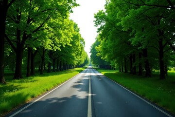 Obraz premium A sunlit asphalt road stretches ahead, lined with vibrant green trees casting shadows on the pavement, a picturesque landscape of nature's beauty and tranquility
