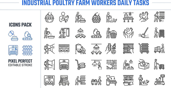 Outline vector icon set of industrial poultry farm, chicken breeding and egg production