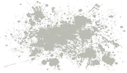 Fototapeta premium Gray paint splatters on white background