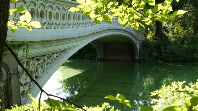 New York City Central Park nature oasis. Bow Bridge and lake in summer day, United States. Pond water and greenery in morning light. Autumn fall leaves and Manhattan architecture landmark of NYC, USA.