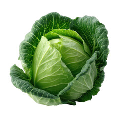 Fototapeta premium A fresh head of green cabbage with tightly packed leaves and a vibrant natural texture display isolated on transparent background