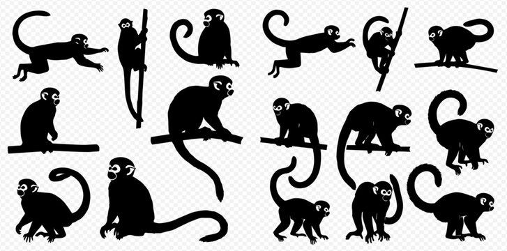 Set of black monkey silhouettes in various poses, including sitting, climbing, and running, on a transparent background.