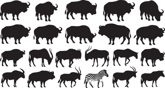 Silhouettes of various African animals walking together