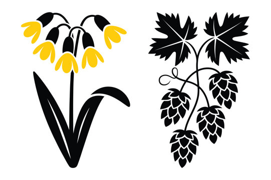 Minimalist botanical vector illustration of yellow cowslip and black hop cones