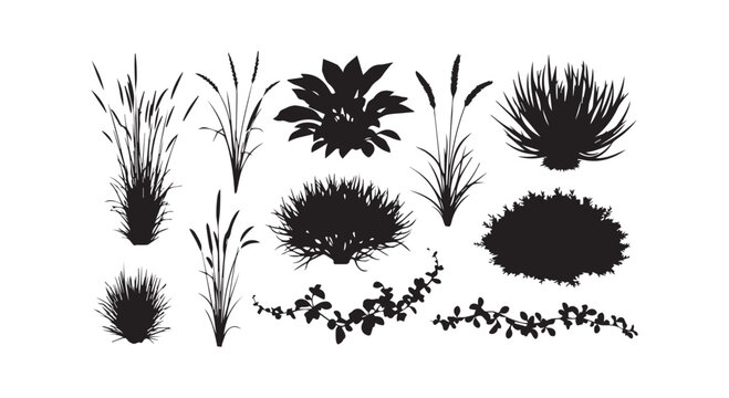 elegant black and white floral design showcasing delicate petals and leaves for artistic inspiration