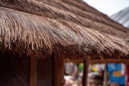 村にある家のサッチ屋根