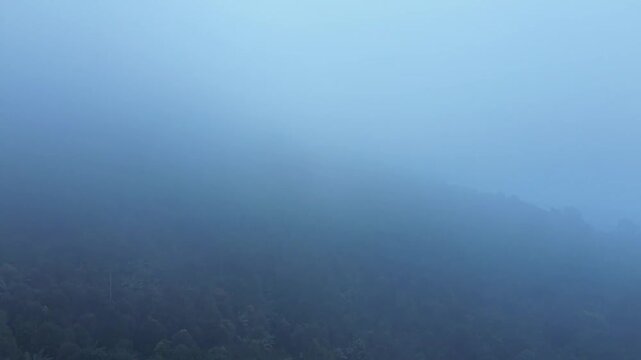 A cinematic aerial perspective reveals the dense tropical canopy of Banten submerged under a thick layer of morning mist. 