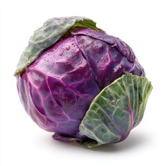 Obraz premium Vibrant Red Cabbage with Water Droplets Isolated on White Studio Background