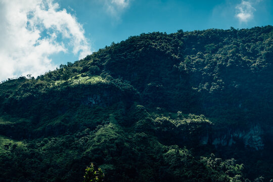 Lush vegetation in the mountain of the Balinese backcountry