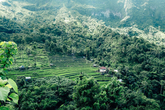 Landscape with rice terraces of the Balinese backcountry