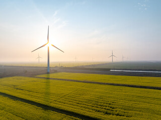 Wind turbines in golden morning light over cultivated fields with misty horizon © zhu difeng