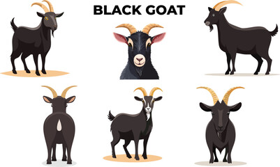 Obraz premium Black Goat Multiple Pose Vector Set for Eid al-Adha, Qurban Animal Illustration Collection