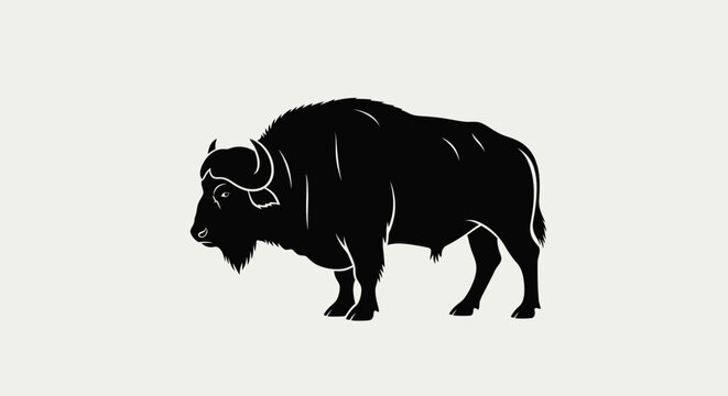 Black bison standing profile view.