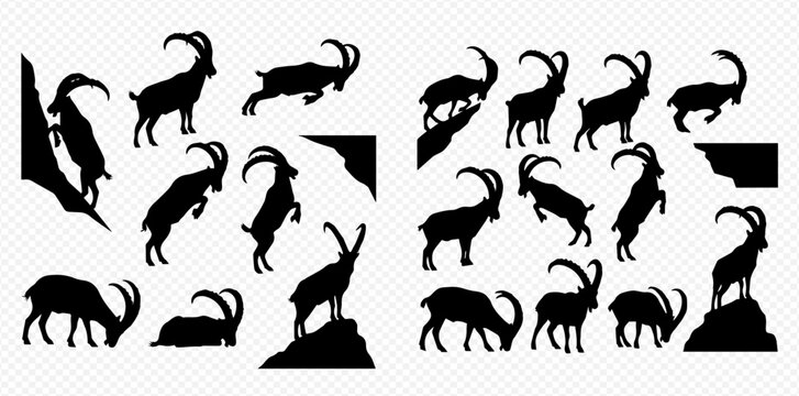 Set of ibex and mountain goat silhouettes in various poses, vector illustration for wildlife and nature designs.