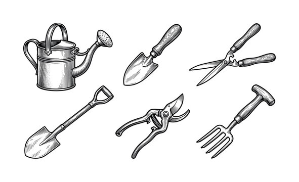 A set of vintage garden tools in a hand-drawn engraving style. Vector collection includes a watering can, shovel, and shears for farm, hobby, and logo design concepts.