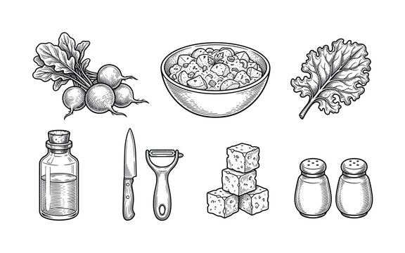 A set of hand-drawn vintage food illustrations. Includes salad, radish, kale, cheese, oil, and utensils. Perfect for restaurant menus, recipes, or rustic food branding.