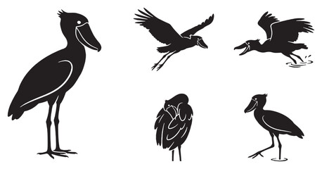 Obraz premium Set of silhouette illustrations of a shoebill stork in various poses, including standing, flying, and resting.