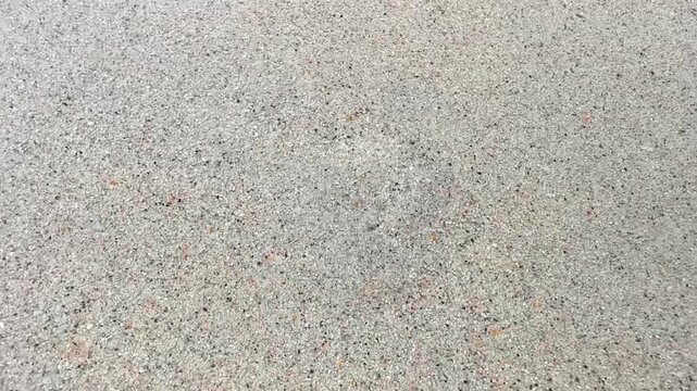 After wave the crab crabs burrowing back into sand Thailand.