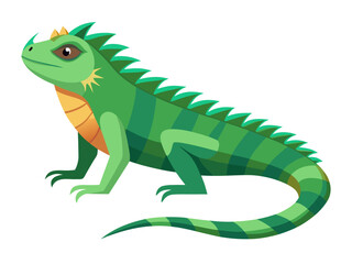 Fototapeta premium Bright green iguana crouching on plain white background