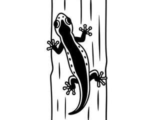 Fototapeta premium Black gecko climbing on textured vertical wood panel white background