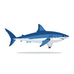 Fototapeta premium Blue shark swimming calmly in profile on white background