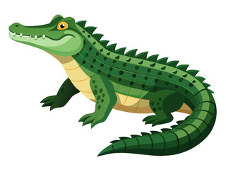 Fototapeta premium Green crocodile standing three quarter view on white background