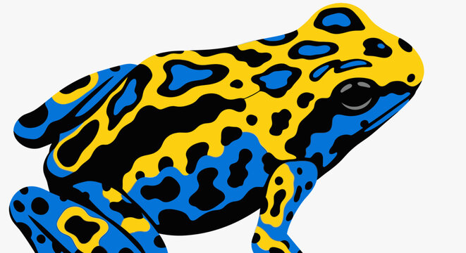 Poison Dart Frog Close Up Side.
