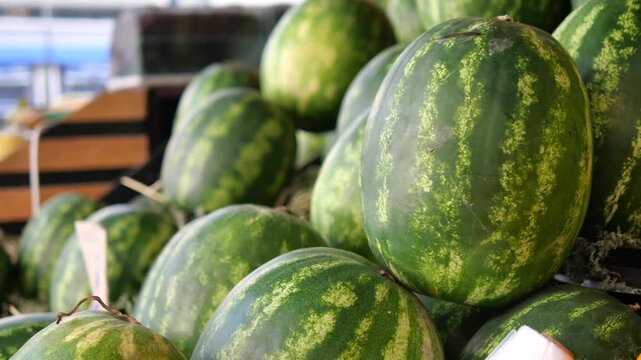 Fresh watermelons displayed at an outdoor market, close-up detail.