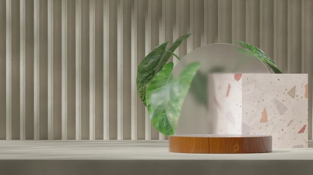 3d render footage scene template of wood textured podium seamless shadow animation looping with alocasia plant and terrazzo cube